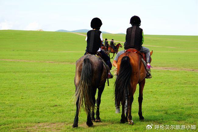 关于草原特色骑马体验赛,感受大自然的奔跑自由的信息 关于草原特色骑马体验赛,感受大自然的奔跑自由的信息