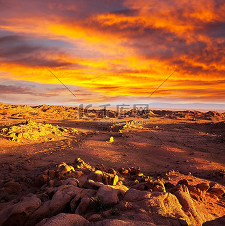 关于野外探险之旅:穿越荒原沙丘的极限赛车争霸的信息 关于野外探险之旅:穿越荒原沙丘的极限赛车争霸的信息