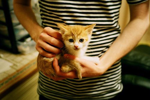 leyu乐鱼官网登录入口-“爆发式全场攻势，比分不断刷新纪录，比赛精彩绝伦”，爆发力爆棚