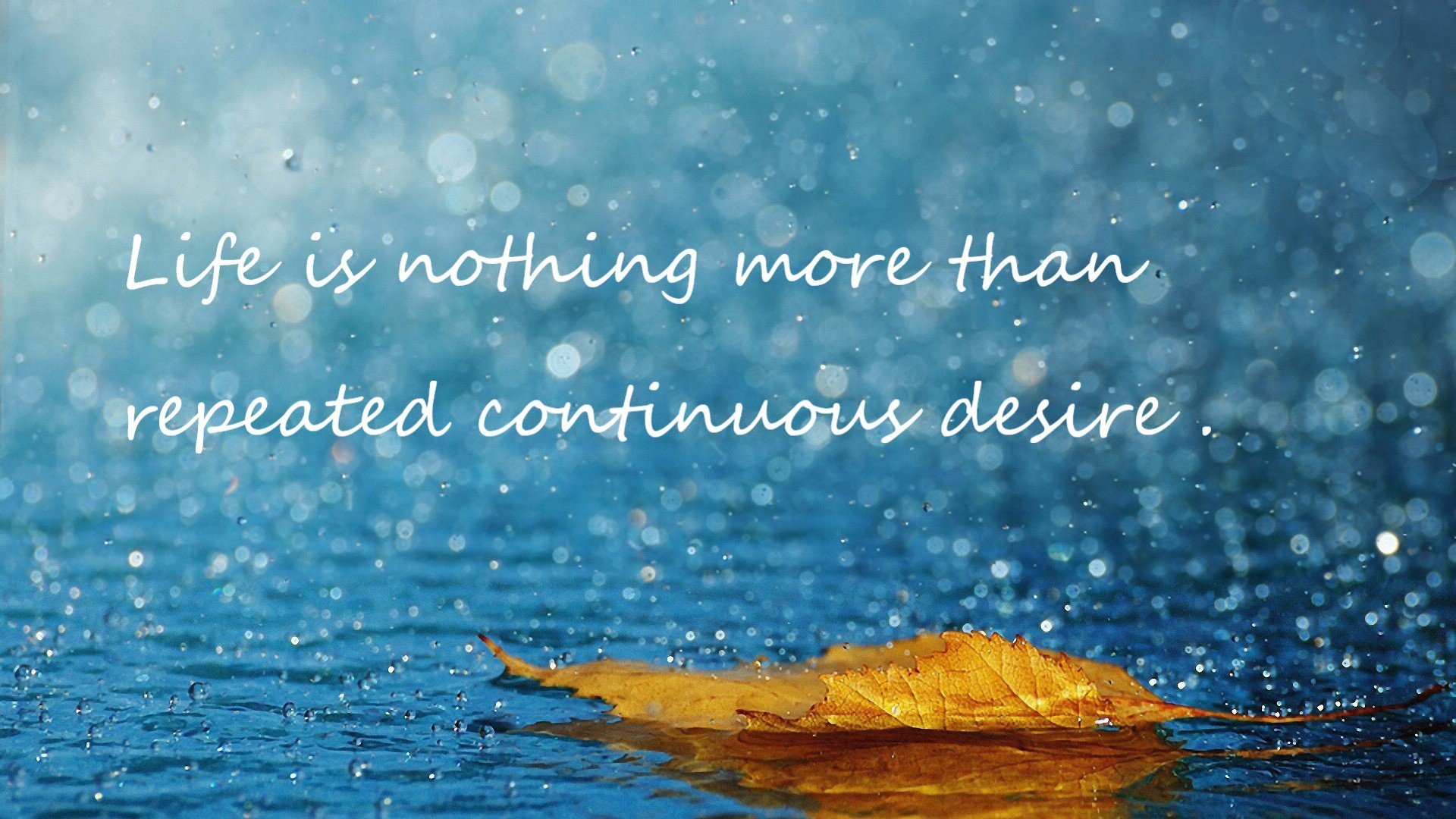 leyu乐鱼体育综合-中游争霸：谁能登顶中游格局？，中游争霸_谁能登顶中游格局