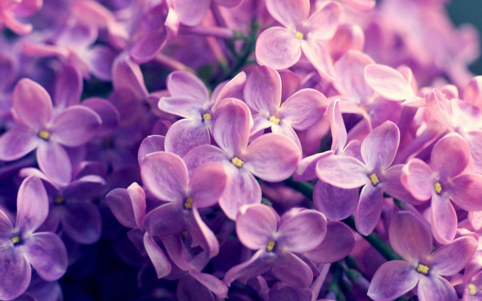 Leyu Sport登录入口-德甲赛季分析报告：战术创新带动比赛精彩，德甲新赛季实力分析