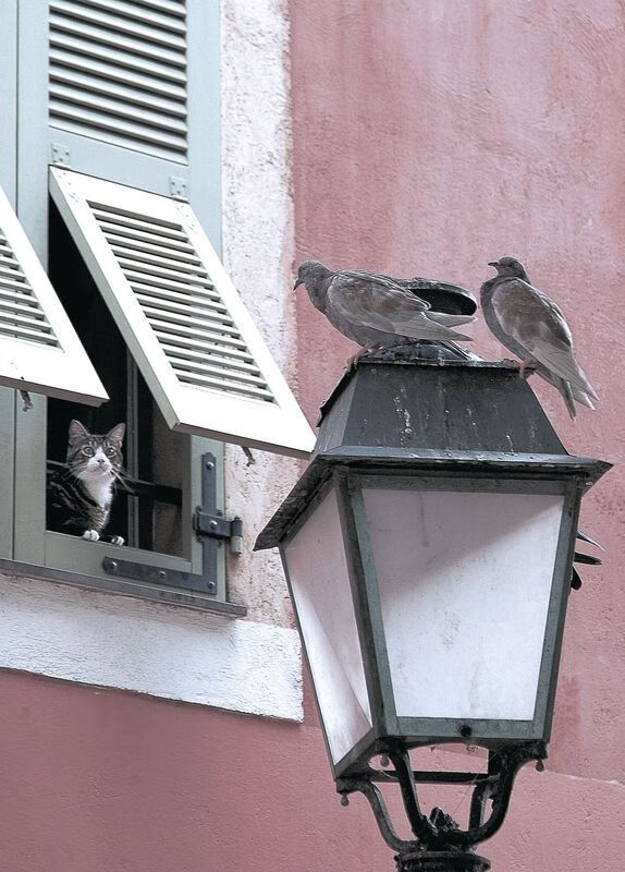 雷恩爱将斩获全场最佳,你知道雷恩cp吗