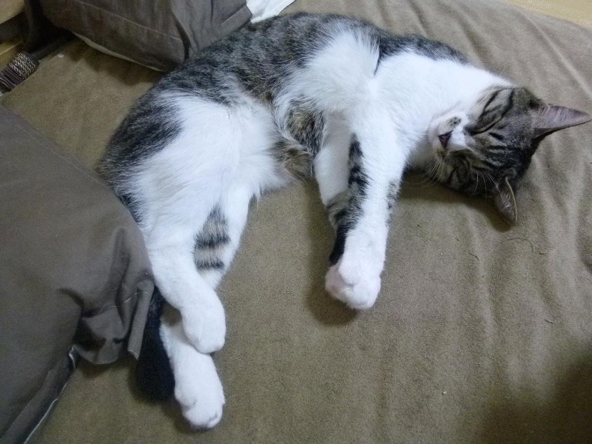 雷霆举办“更衣室文化日”,分享球员幕后故事,雷霆球衣大全