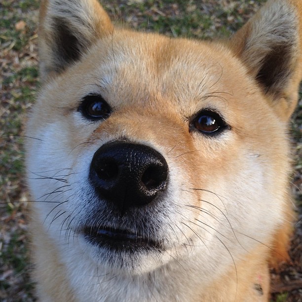 乐鱼体育(中国)官方网站-哪支球队在交易中最具远见，哪只球队最强