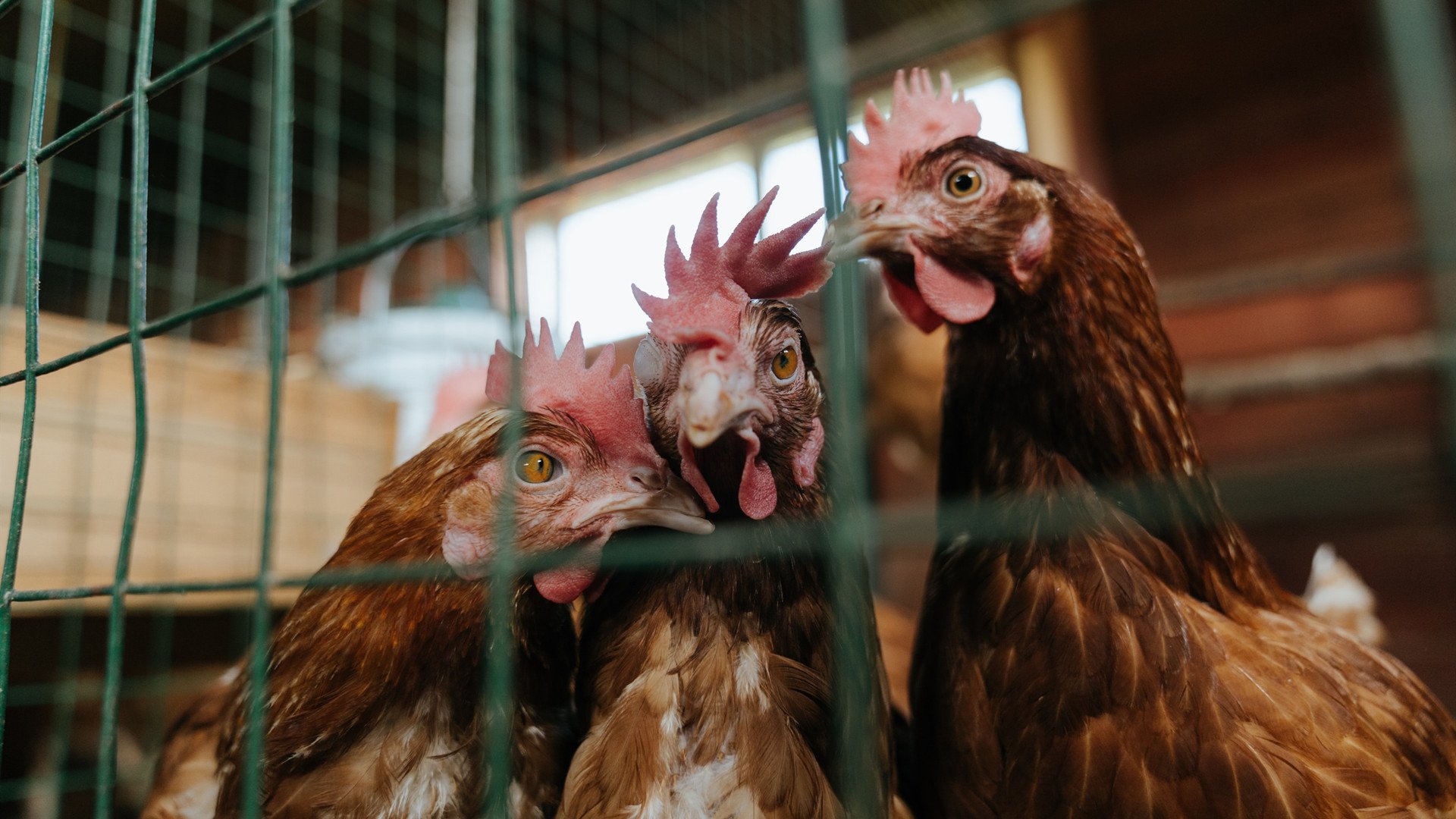 乐鱼电竞在线平台-特别报道奥运八强名单，奥运会八强有奖金吗