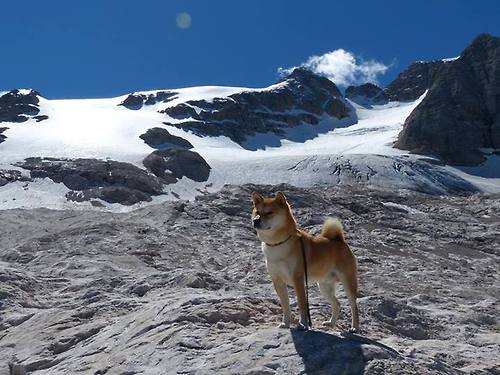 特别报道奥运申办城市迎审团考察,简述奥运会主办城市的遴选程序
