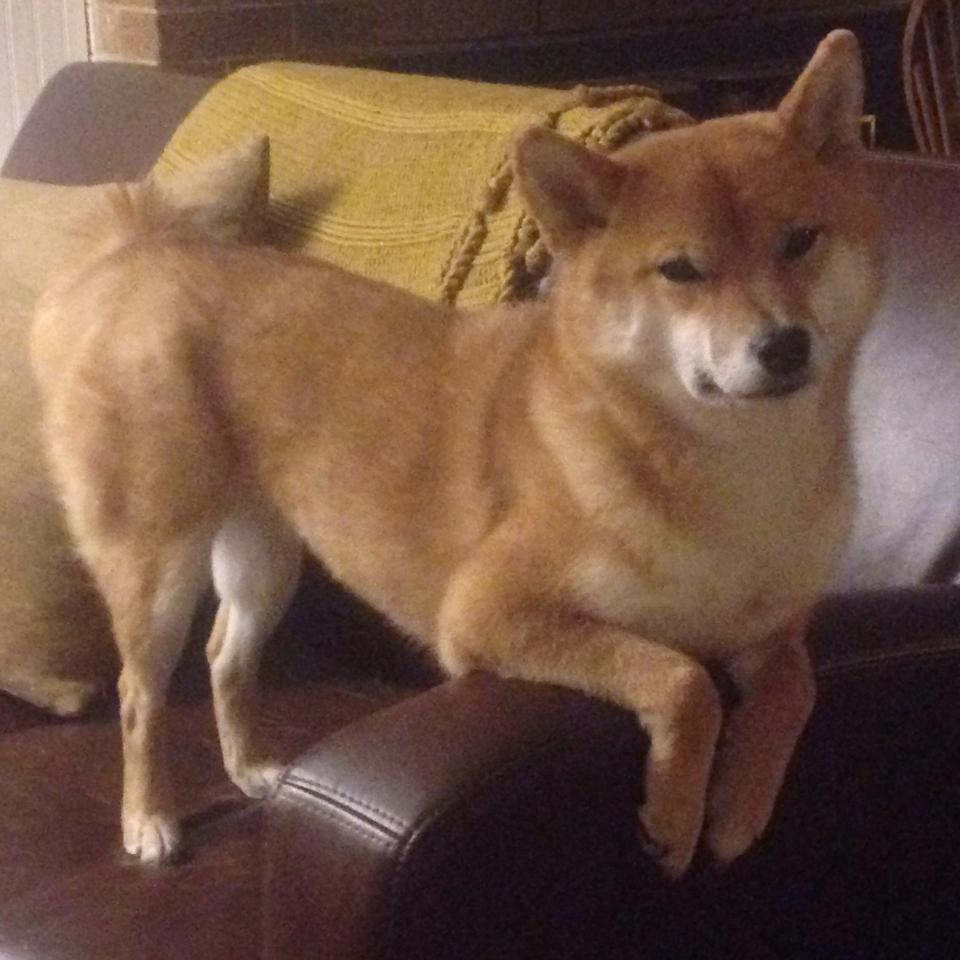 电竞城市促进高校电竞人才培养，电竞产业对城市的要求