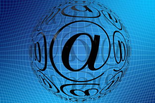 乐鱼官网-中国篮球职业联赛青训体系创新发展模式分析，中国青年篮球队