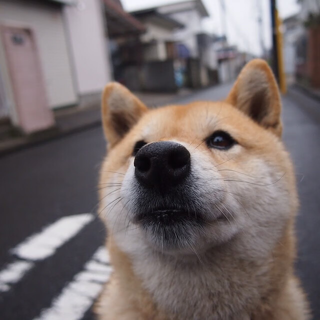 CBA联盟发布新规 推动联赛健康发展,cba联盟规章制度