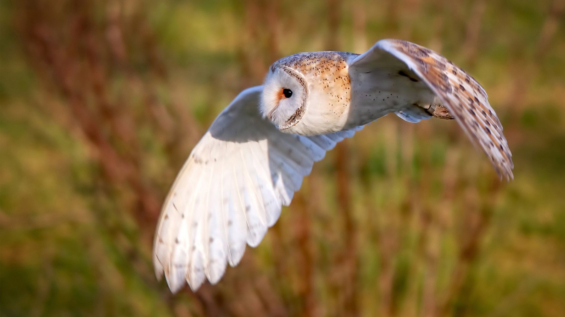 LEYU SPORTS中国官方网站-CBA赛季赛程科学合理 球员状态保持稳定，cba赛季规则