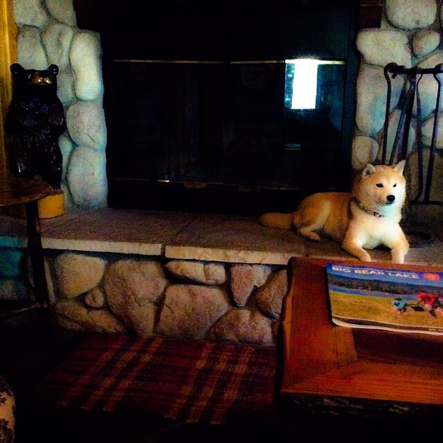 乐鱼体育(中国)官方网站-体育新闻中心发布体育数字传播新趋势白皮书，体育数字化转型