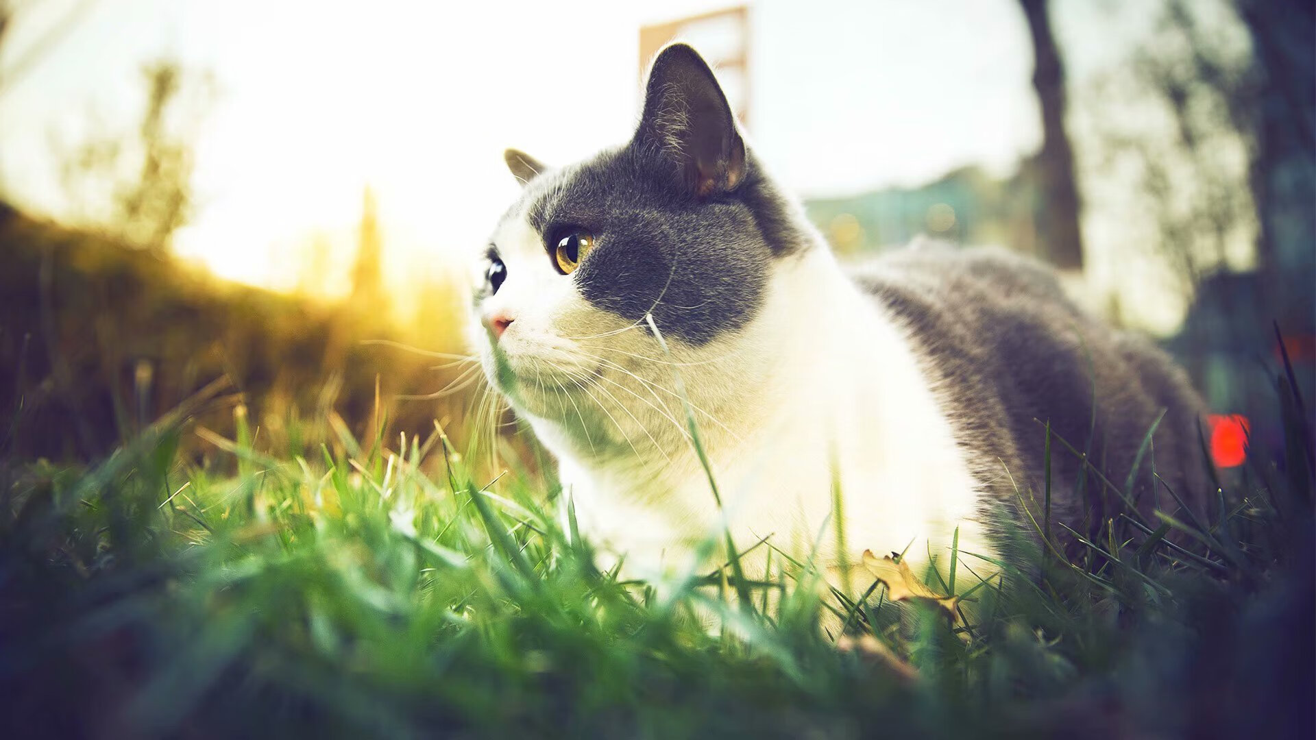 国家队后防稳定性问题长期未解,国家队后防稳定性问题长期未解的措施