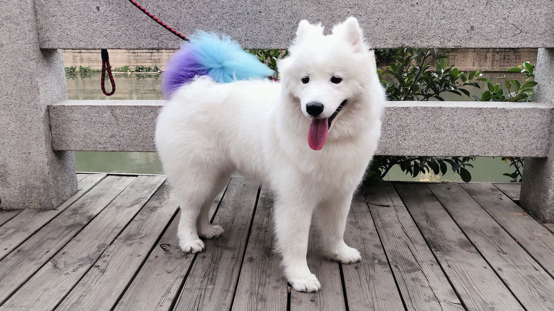 城市马拉松倡导绿色健康生活,城市马拉松活动策划方案