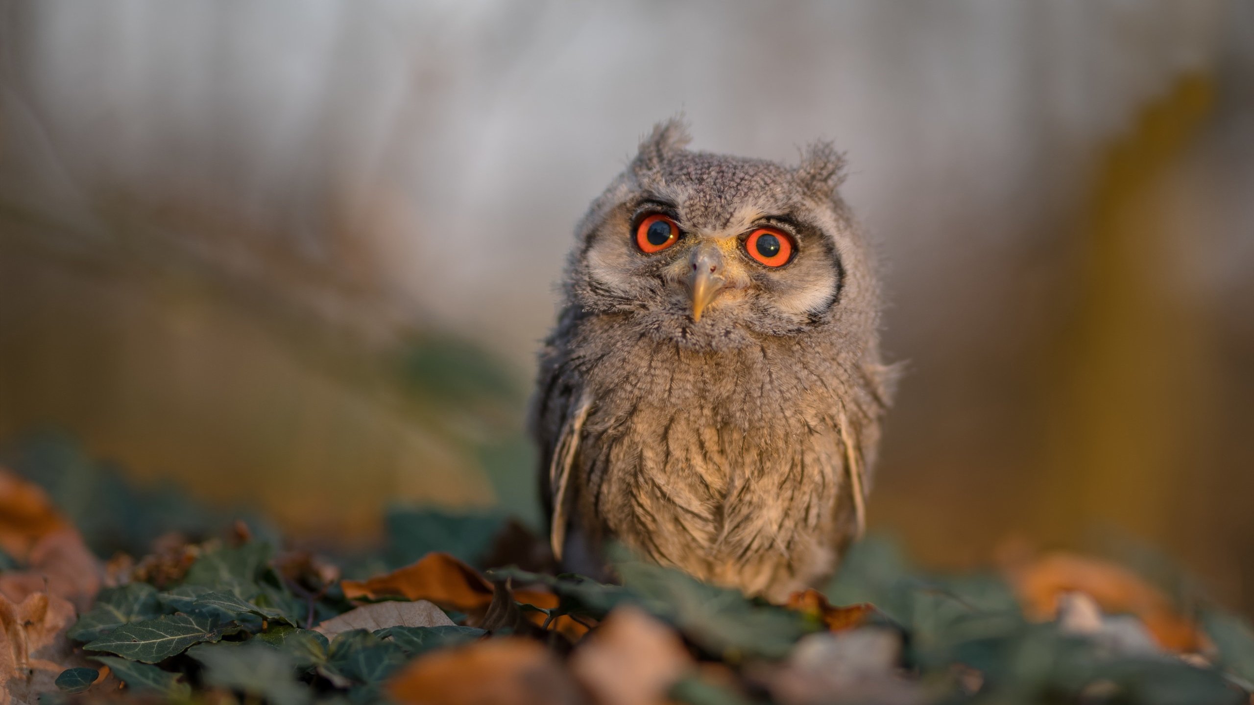 leyu乐鱼-球队是否通过区域站位压缩中前场有效进攻空间