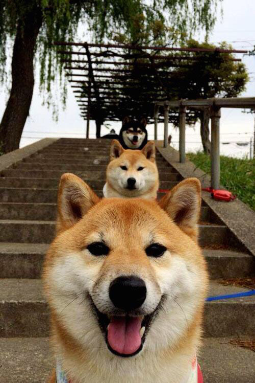 乐鱼电竞在线平台-男子接力四人团结制胜，男子4x100m接力小组