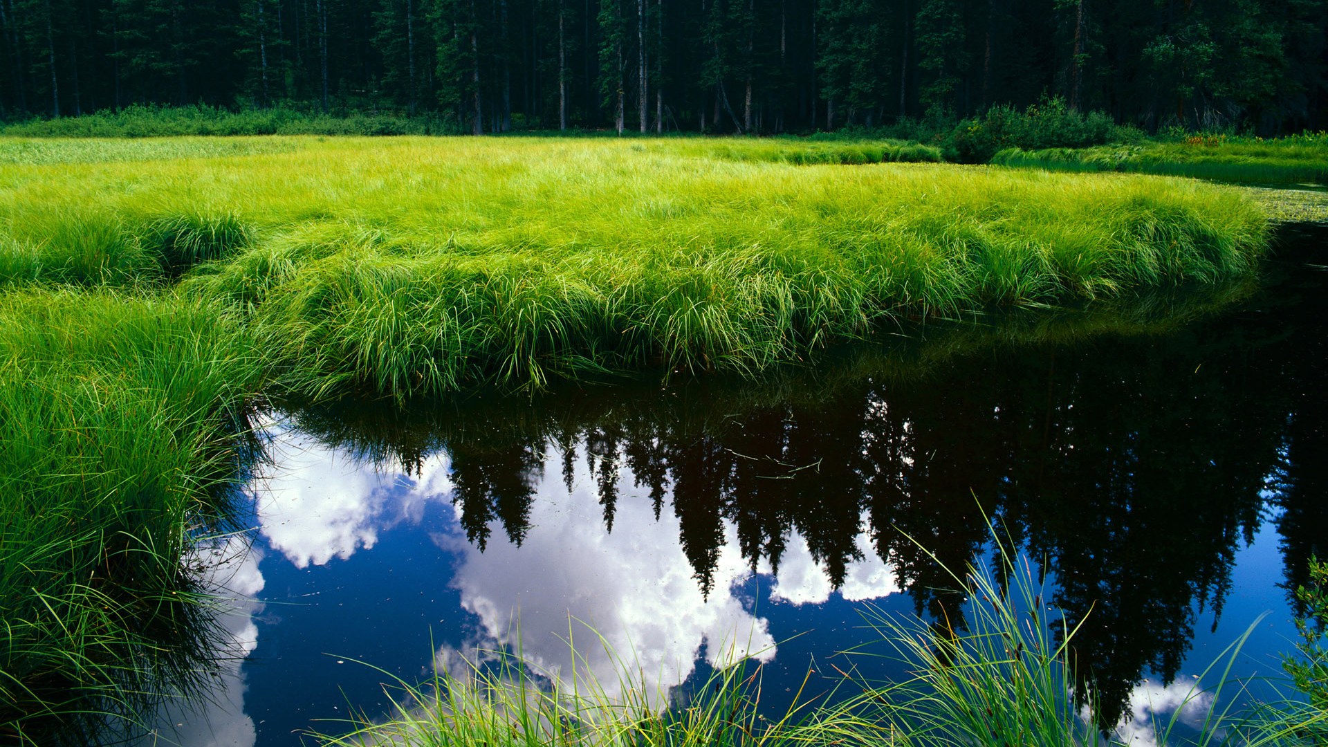 里昂组织端表现出色掌控场上节奏,里昂技术
