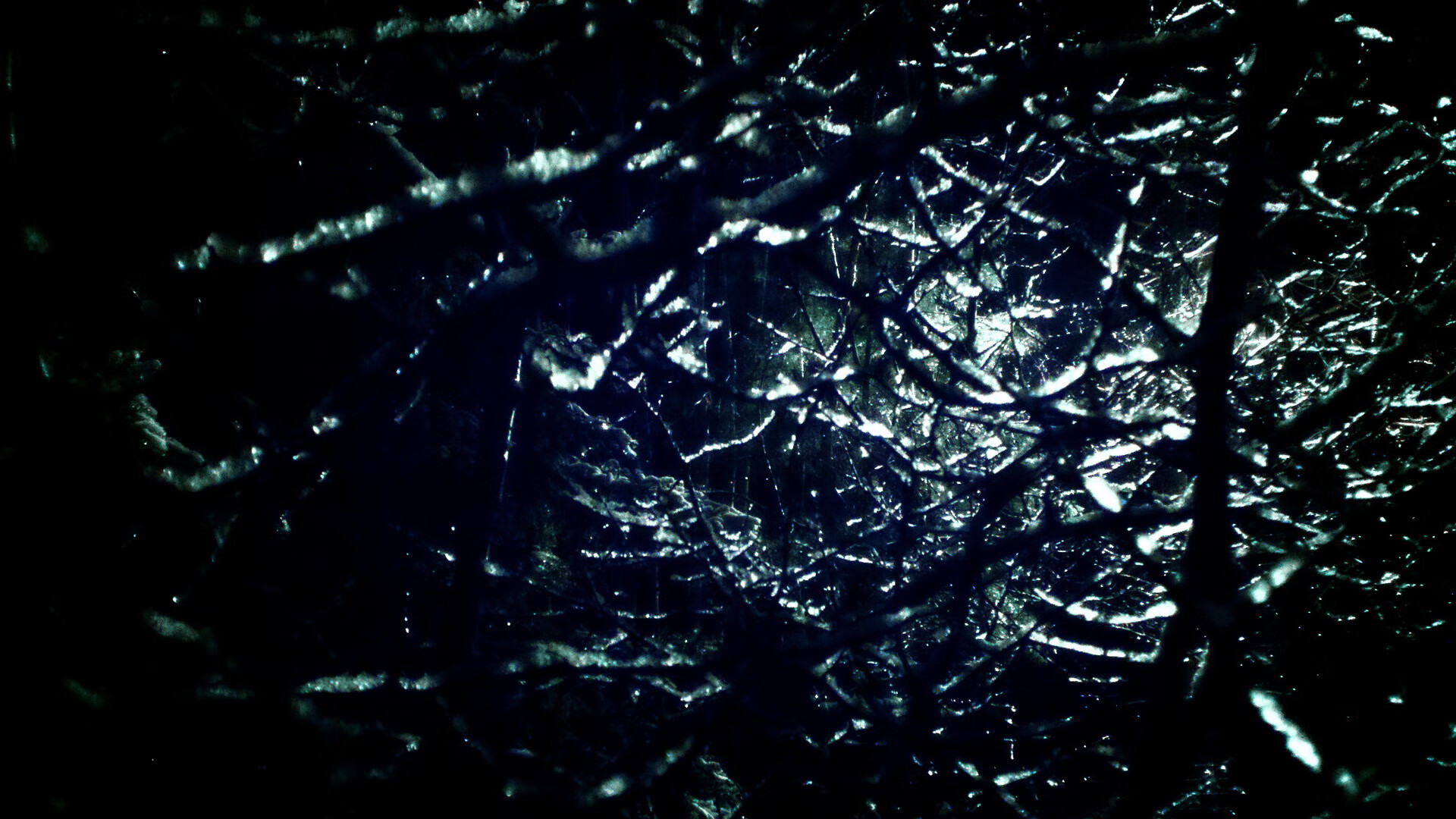 leyu乐鱼-赛事招商合作成果显著吸引多领域企业跨界参与，招商引资竞赛