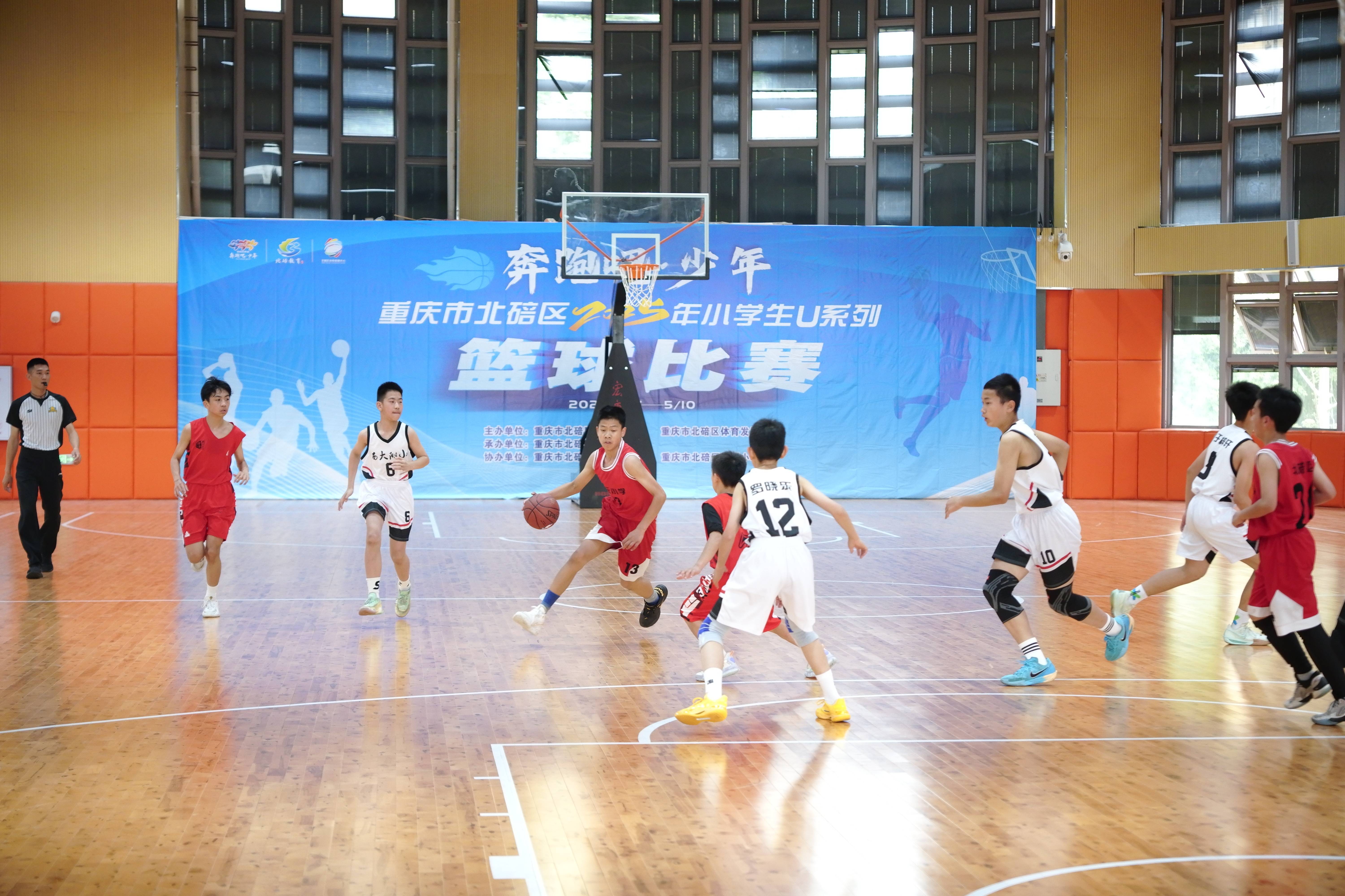 乐鱼体育：青少年篮球培训市场：规范化发展是关键的简单介绍